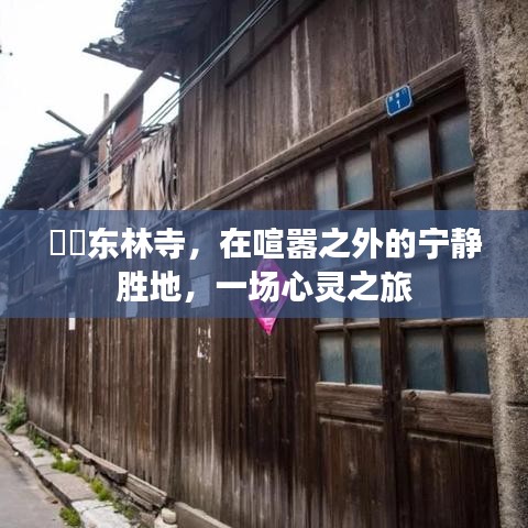 东林寺，喧嚣之外的宁静心灵之旅