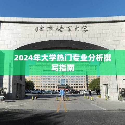 2024年大学热门专业深度分析指南