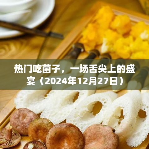 热门菌子盛宴，舌尖上的狂欢（2024年12月27日）