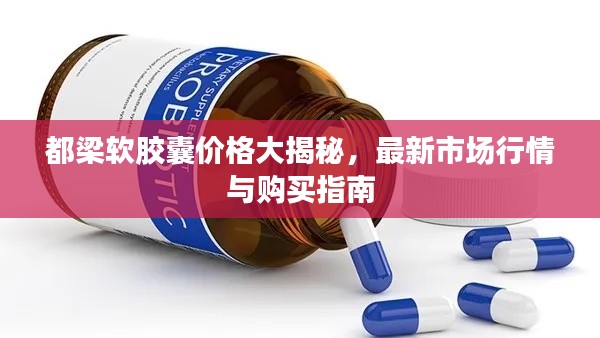 都梁软胶囊价格大揭秘，最新市场行情与购买指南