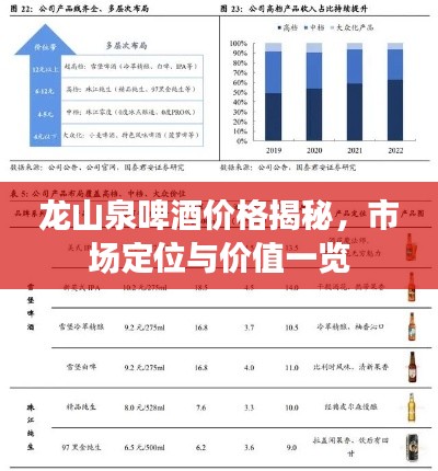 龙山泉啤酒价格揭秘，市场定位与价值一览