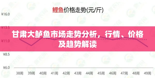 甘肃大鲈鱼市场走势分析，行情、价格及趋势解读