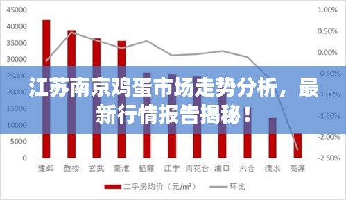 江苏南京鸡蛋市场走势分析，最新行情报告揭秘！