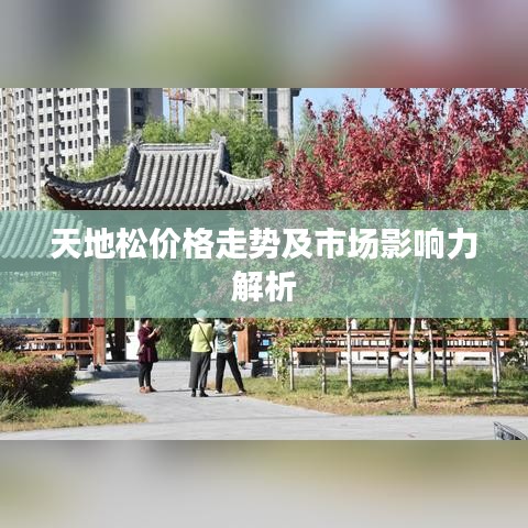 天地松价格走势及市场影响力解析