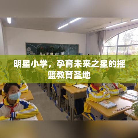 明星小学，孕育未来之星的摇篮教育圣地