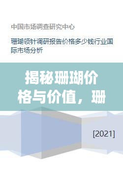 揭秘珊瑚价格与价值，珊瑚的市场定价与珍贵性分析