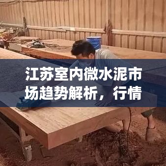 江苏室内微水泥市场趋势解析，行情分析与展望