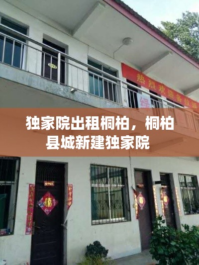 独家院出租桐柏，桐柏县城新建独家院 