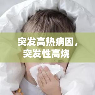 突发高热病因，突发性高烧 