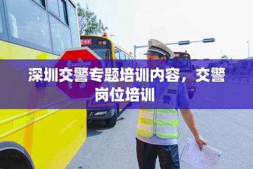 深圳交警专题培训内容，交警岗位培训 