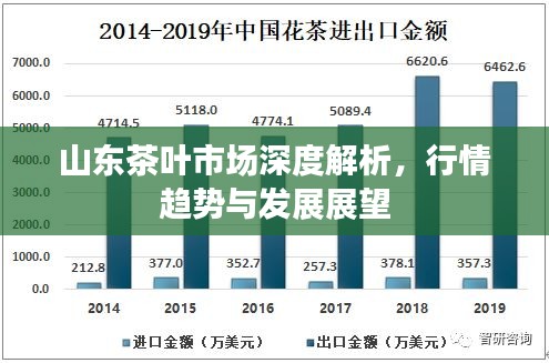 山东茶叶市场深度解析，行情趋势与发展展望