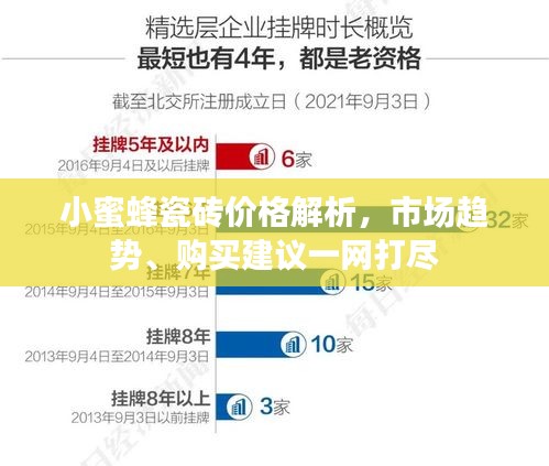 小蜜蜂瓷砖价格解析，市场趋势、购买建议一网打尽