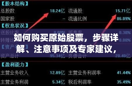 如何购买原始股票，步骤详解、注意事项及专家建议，一文掌握投资秘籍！