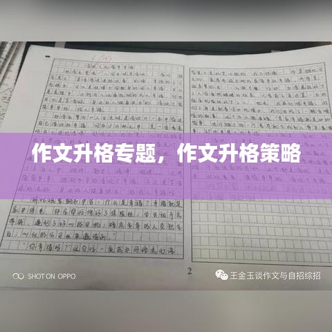 作文升格专题，作文升格策略 