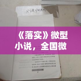 《落实》微型小说，全国微型小说精选评讲集《落实》 