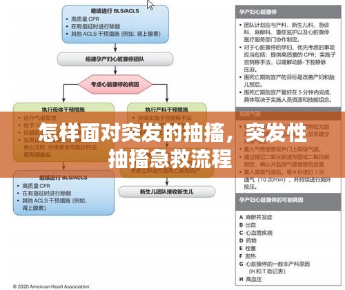 怎样面对突发的抽搐，突发性抽搐急救流程 