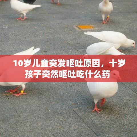 10岁儿童突发呕吐原因，十岁孩子突然呕吐吃什么药 