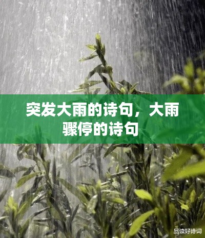 突发大雨的诗句，大雨骤停的诗句 