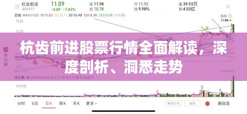 杭齿前进股票行情全面解读，深度剖析、洞悉走势