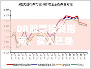 DR股票投资指南，买入还是谨慎？投资者决策解析