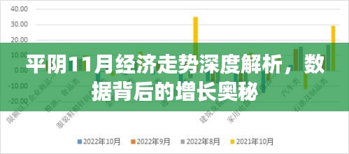 平阴11月经济走势深度解析，数据背后的增长奥秘