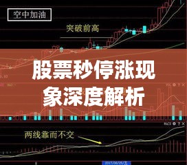 股票秒停涨现象深度解析