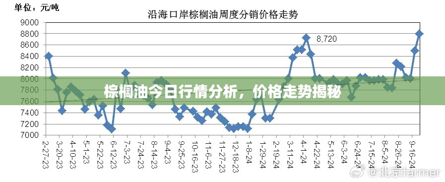 棕榈油今日行情分析，价格走势揭秘