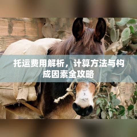 托运费用解析，计算方法与构成因素全攻略