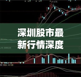 深圳股市最新行情深度解析