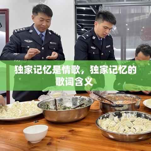 独家记忆是情歌，独家记忆的歌词含义 