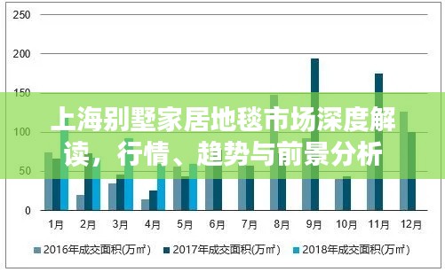 上海别墅家居地毯市场深度解读，行情、趋势与前景分析