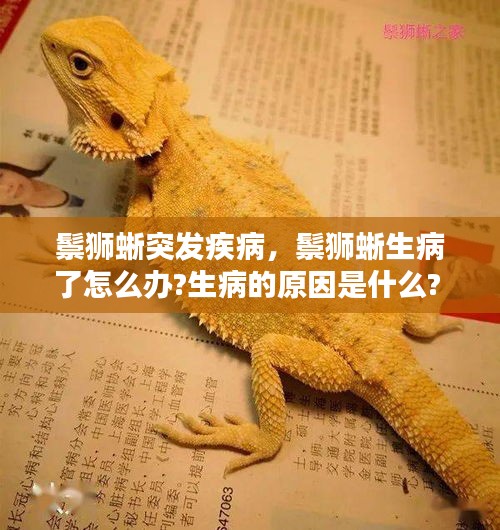 鬃狮蜥突发疾病，鬃狮蜥生病了怎么办?生病的原因是什么? 