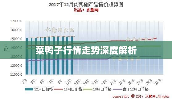 菜鸭子行情走势深度解析