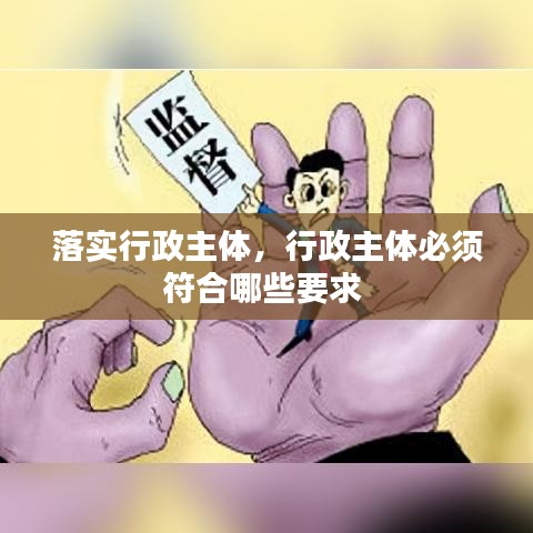 落实行政主体，行政主体必须符合哪些要求 