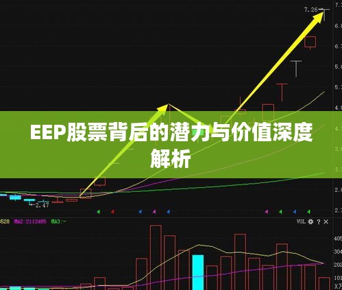 EEP股票背后的潜力与价值深度解析