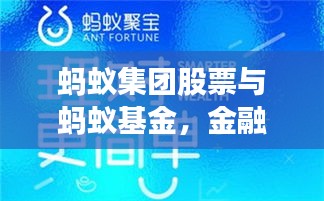 蚂蚁集团股票与蚂蚁基金，金融科技巨头的投资吸引力