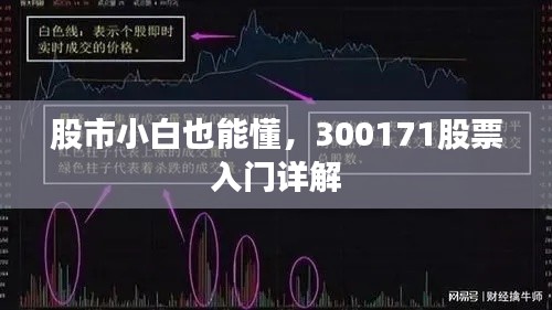 股市小白也能懂，300171股票入门详解