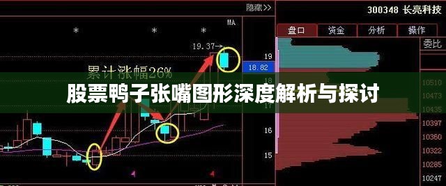 股票鸭子张嘴图形深度解析与探讨