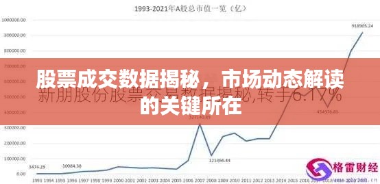 股票成交数据揭秘，市场动态解读的关键所在