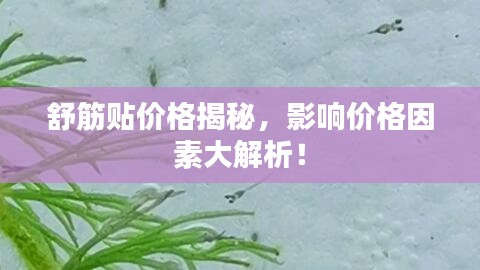 舒筋贴价格揭秘，影响价格因素大解析！