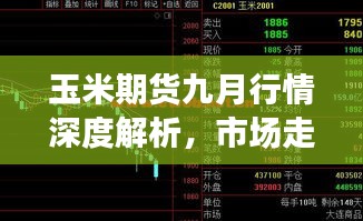 2025年1月5日 第16页