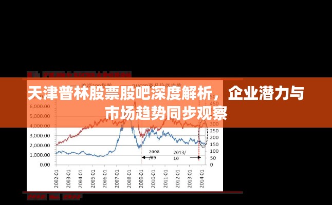 天津普林股票股吧深度解析，企业潜力与市场趋势同步观察