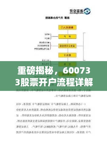 重磅揭秘，600733股票开户流程详解，轻松开启投资之旅！