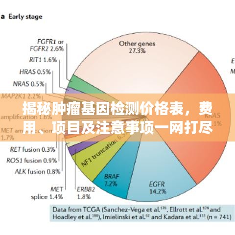 2025年1月5日 第4页