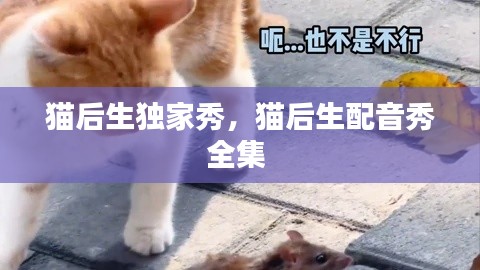 猫后生独家秀，猫后生配音秀全集 