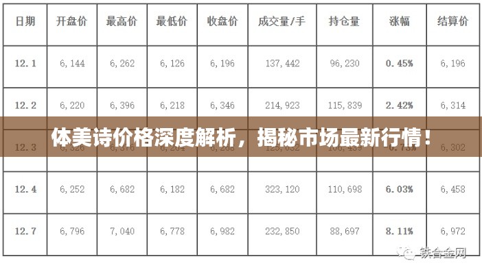 体美诗价格深度解析，揭秘市场最新行情！