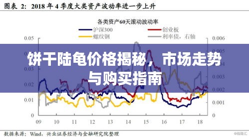 饼干陆龟价格揭秘，市场走势与购买指南