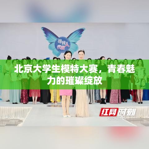 北京大学生模特大赛，青春魅力的璀璨绽放