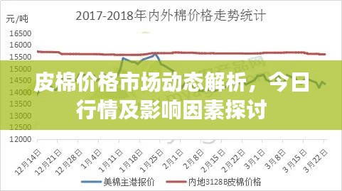 皮棉价格市场动态解析，今日行情及影响因素探讨