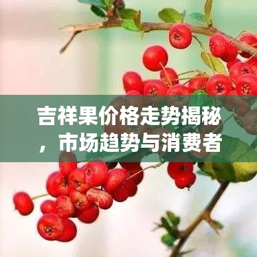 吉祥果价格走势揭秘，市场趋势与消费者考量全解析